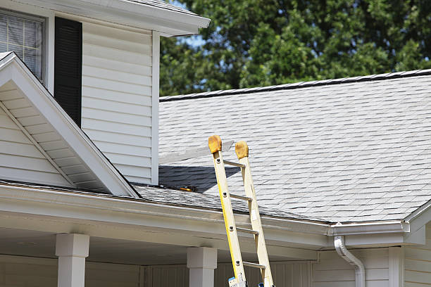 Best Shed Removal  in Chalmette, LA